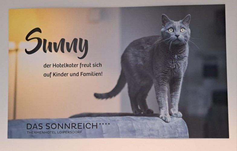 Sonnreich_Sunny